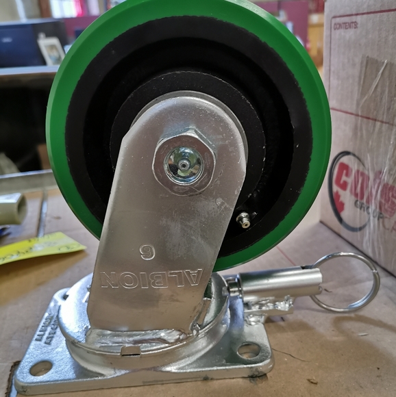 Meet your Posher, Bruce - Picture 4 of 4